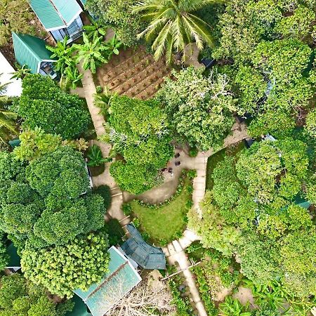 Chi Khu Co Ong Homestay De La Rosa - Con Dao المظهر الخارجي الصورة
