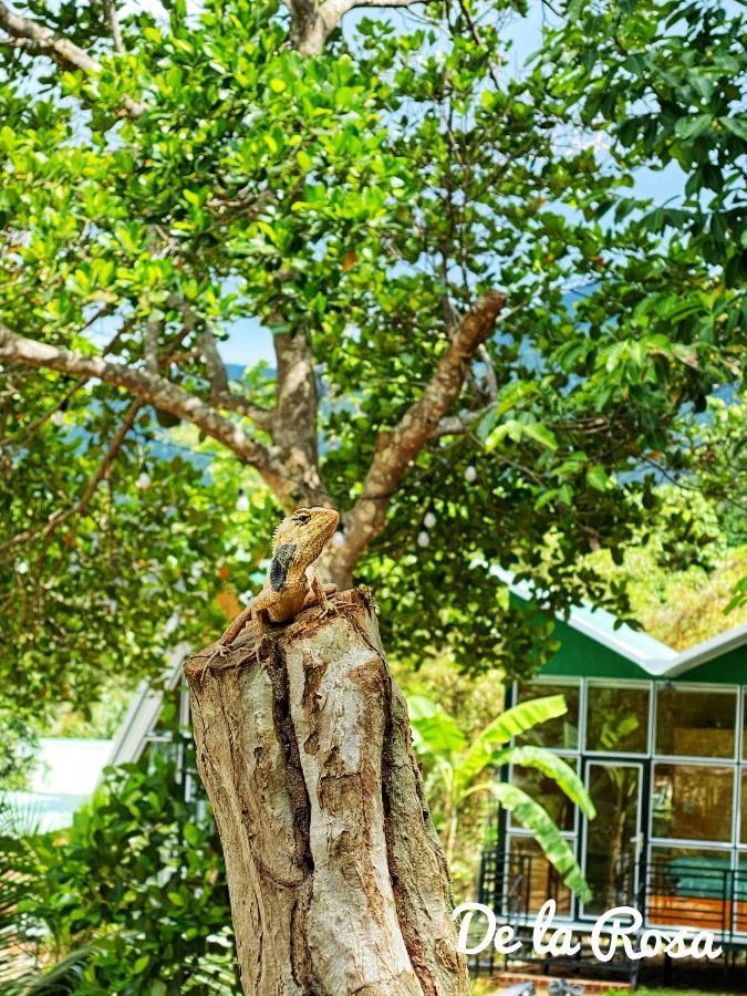 Chi Khu Co Ong Homestay De La Rosa - Con Dao المظهر الخارجي الصورة